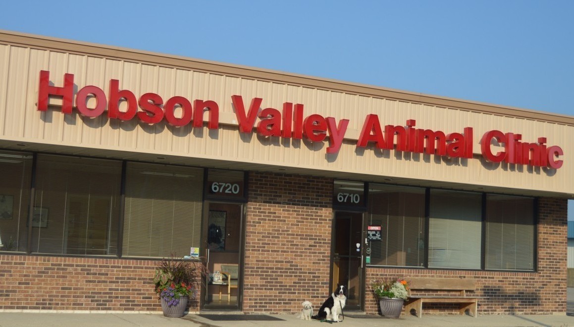 Hobson Valley Animal Clinic Veterinary Services Veterinarians
