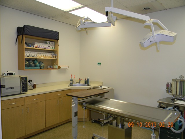 surgical suite at Hobson Valley Animal Clinic serving Woodidge, Naperville, Lisle and Bolingbrook