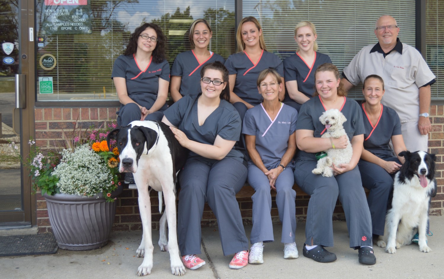 Hobson Valley Veterinarians and Staff Woodridge 60517 60565